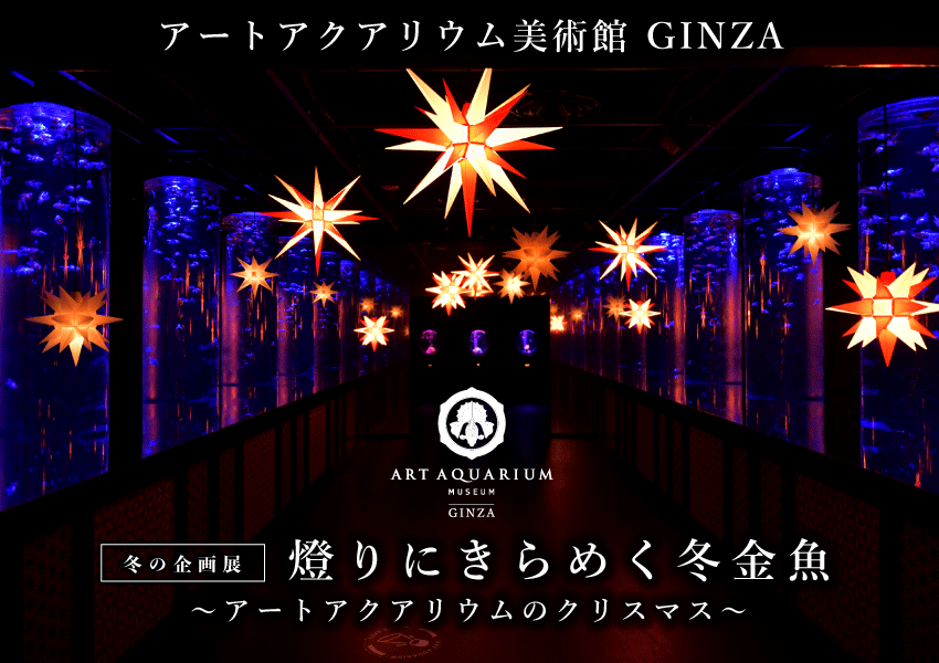 期間限定】アートアクアリウム美術館 GINZA、冬の企画展「燈りにきらめく冬金魚」～アートアクアリウムのクリスマス～を開催！ | TREND PASS  | トレンドパス